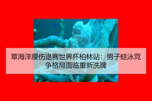 覃海洋腰伤退赛世界杯柏林站：男子蛙泳竞争格局面临重新洗牌